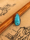 Sonoran Blue