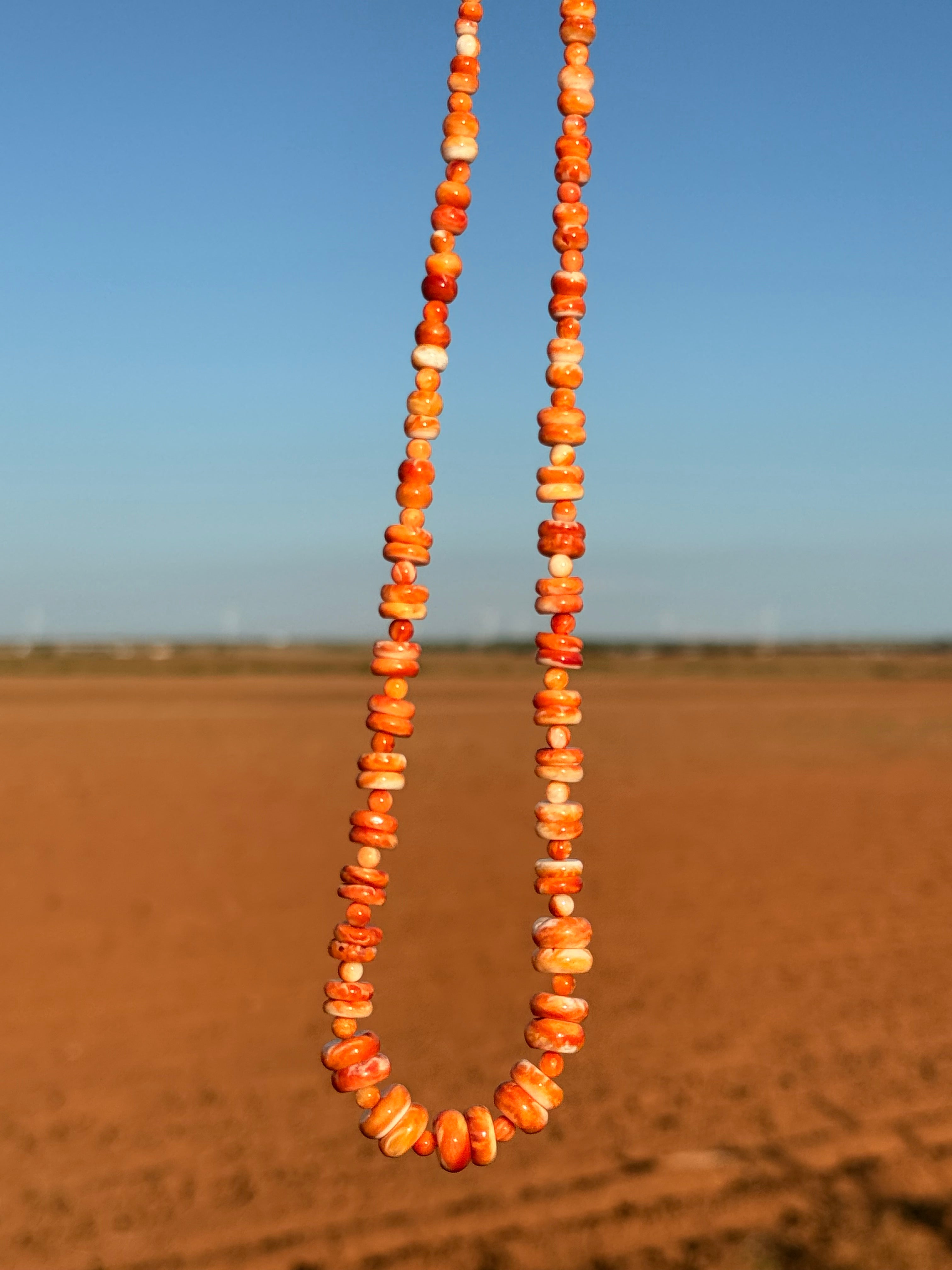 Spiny necklace