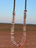 Pink Conch Pearls